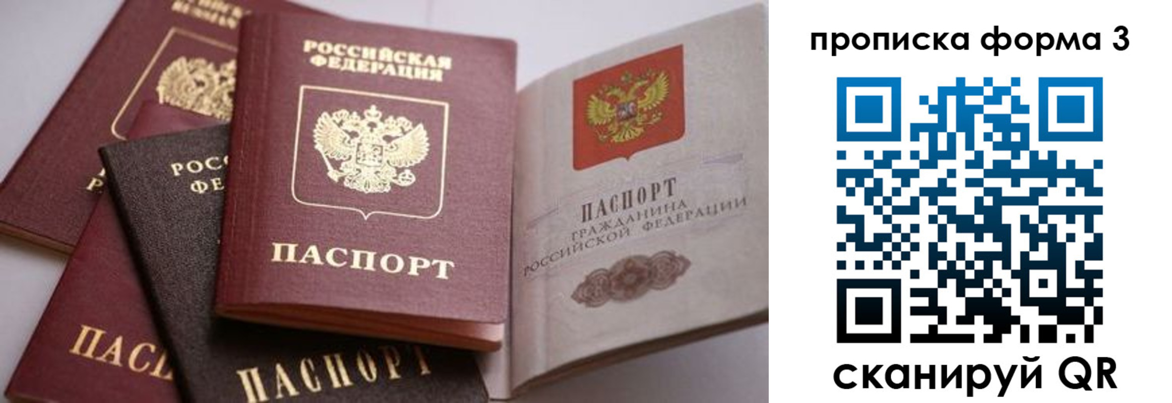 прописка для школы в Северодвинске